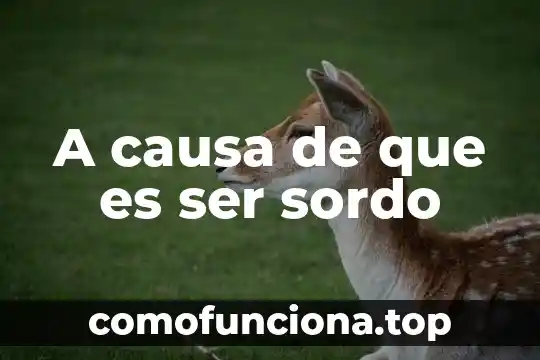 Que es el hombre como ser biologico 3 A causa de que es ser sordo