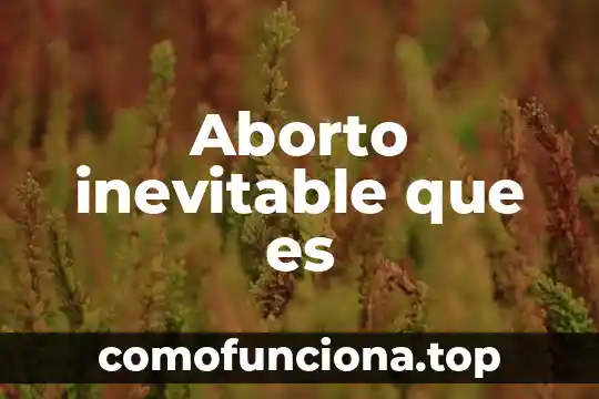 Que es un aborto quimico 4 Aborto inevitable que es