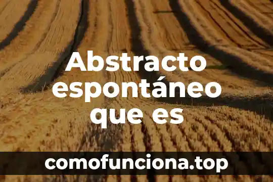 Qué es el arte abstracto blanco y negro 6 Abstracto espontáneo que es