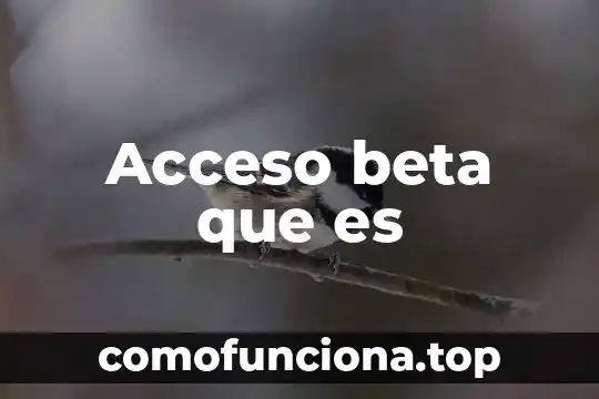 Que es control de acceso tod 8 Acceso beta que es