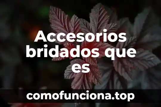 Prefijo griego que es matemáticos 6 Accesorios bridados que es