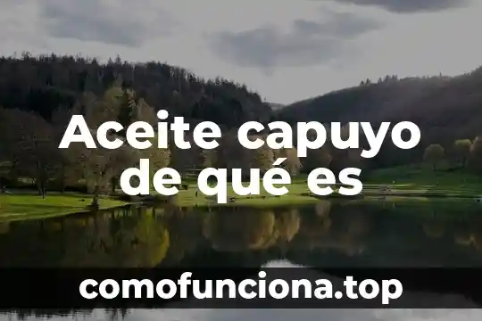 Que es el aceite de almendras y para que sirve 6 Aceite capuyo de qué es