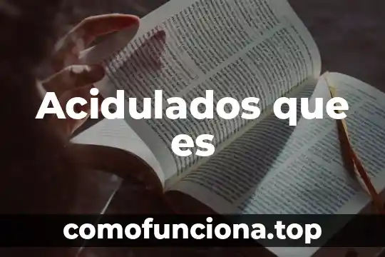 Qué es normatividad aplicable en la auditoria 3 Acidulados que es