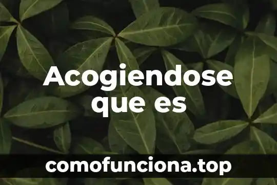 Qué es arte kitsch 7 Acogiendose que es