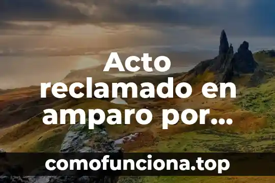 Que es la acción en materia de amparo 4 Acto reclamado en amparo por una autoridad que es