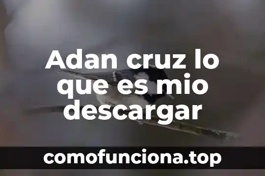 Que es una cost 7 Adan cruz lo que es mio descargar