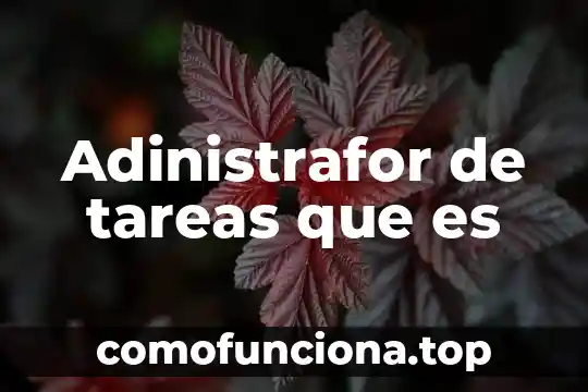 Que es y que estudian la antropologia 6 Adinistrafor de tareas que es