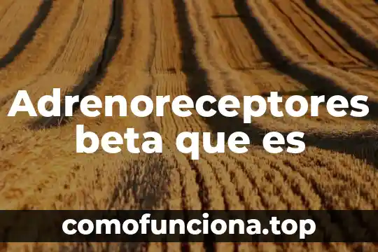 Significado en ingles de que es estimacion en estadistica 7 Adrenoreceptores beta que es