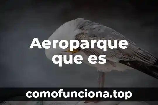 Virtronics que es 6 Aeroparque que es