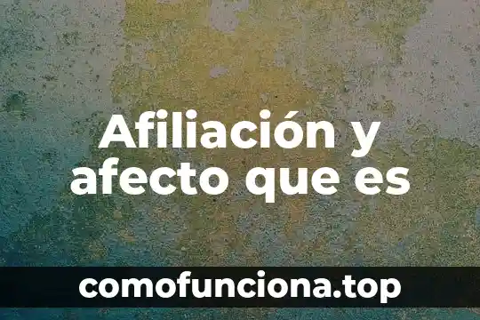 Qué es número de afiliación al seguro popular 4 Afiliación y afecto que es