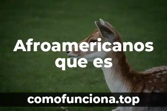 Que es planta libre en arquitectura 3 Afroamericanos que es