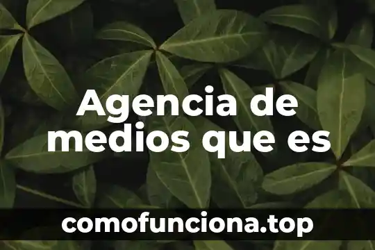 Agencia internacional de energia que es 7 Agencia de medios que es