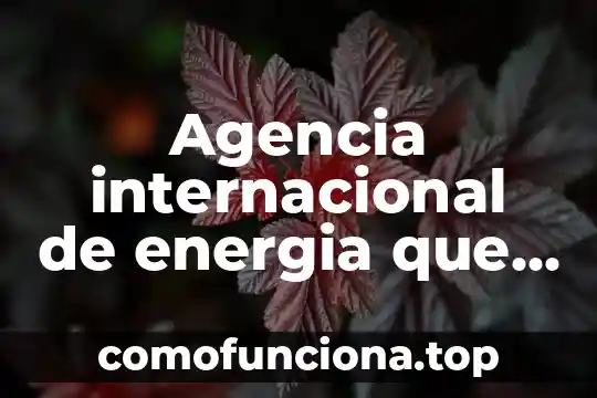 Que es una agencia internacional 7 Agencia internacional de energia que es
