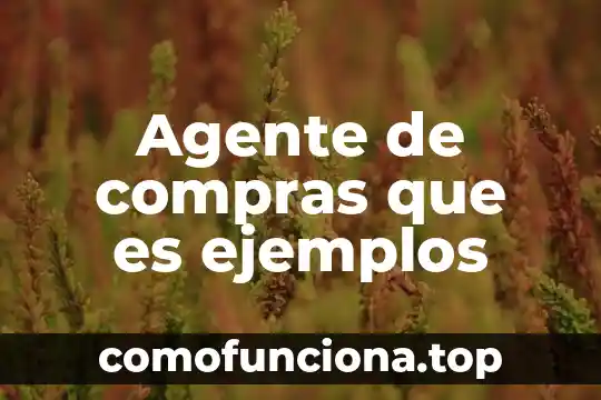 Que es un agente de control de inteligencia ambiental 6 Agente de compras que es ejemplos