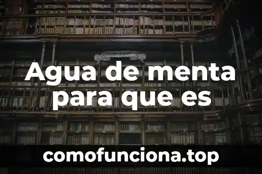 ¿Qué es el número NIS del agua? 4 Agua de menta para que es