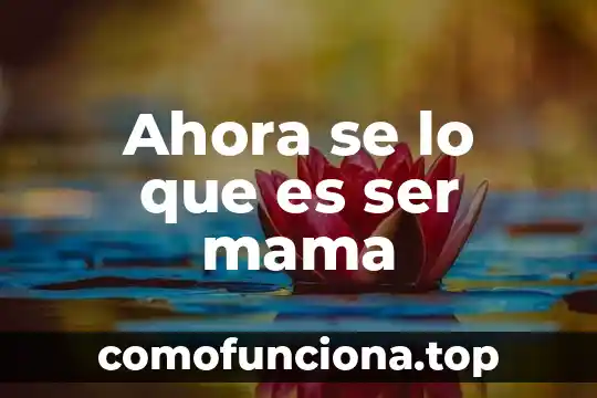 Que es ser prospero segun la biblia 4 Ahora se lo que es ser mama