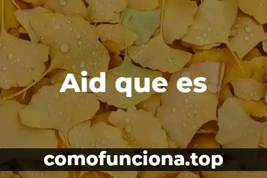 Sol que es infantil 6 Aid que es