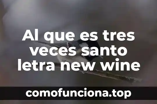 Pajo santo que es y los milagros que hace 6 Al que es tres veces santo letra new wine