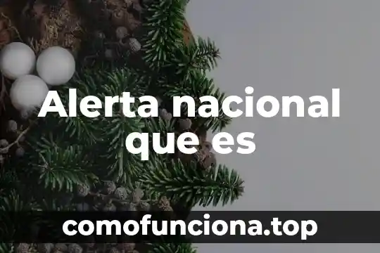 Qué es comisión nacional bancaria y de valores cnbv 3 Alerta nacional que es