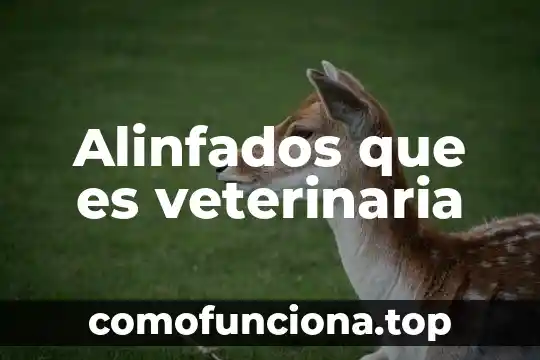 Contaminación del aire que es causas y consecuencias 5 Alinfados que es veterinaria