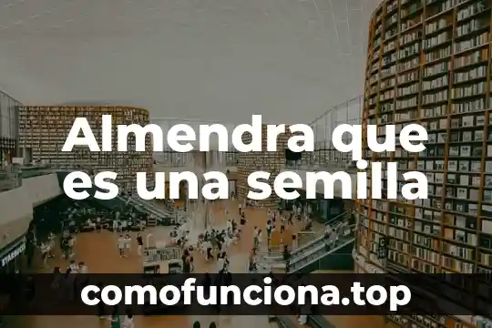 Contaminación del aire que es causas y consecuencias 6 Almendra que es una semilla