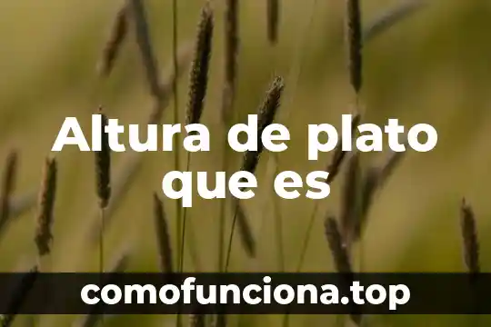 Que es el plato del buen comer concepto 7 Altura de plato que es