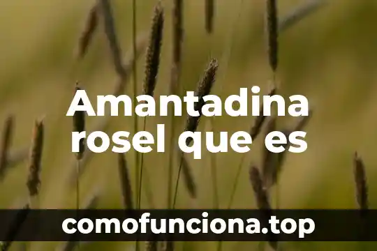 Planta belladona que es 7 Amantadina rosel que es