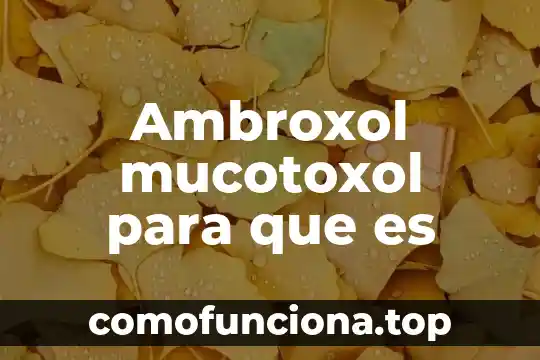 Que es una cuenta morosa 5 Ambroxol mucotoxol para que es