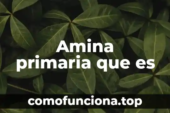 Que es la arquitectura medio persa 4 Amina primaria que es