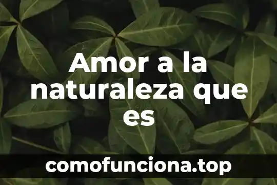 Que es identidad y amor a la patria 8 Amor a la naturaleza que es
