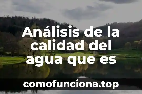 Que es el analisis de datos en una tesis 8 Análisis de la calidad del agua que es