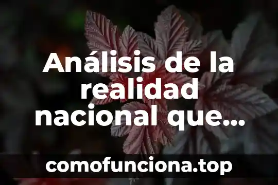 Qué es la identidad nacional y cómo se construye 7 Análisis de la realidad nacional que es