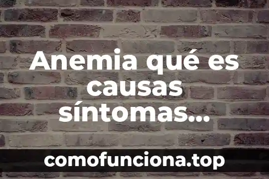 Que es un prototipo en arquitectura 5 Anemia qué es causas síntomas tratamiento