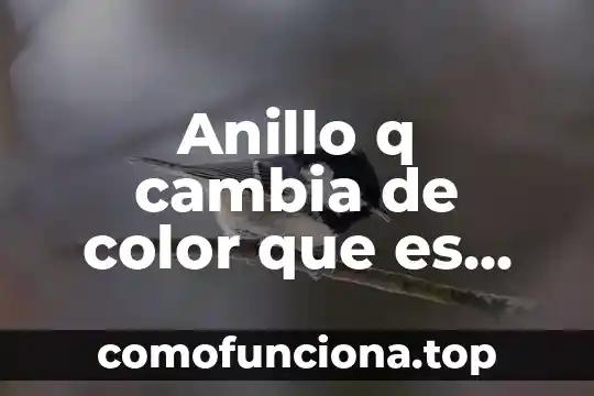 Que es doble anillo en informatica 4 Anillo q cambia de color que es cada color