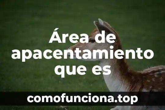 Investigar que es area base perimetro 3 Área de apacentamiento que es