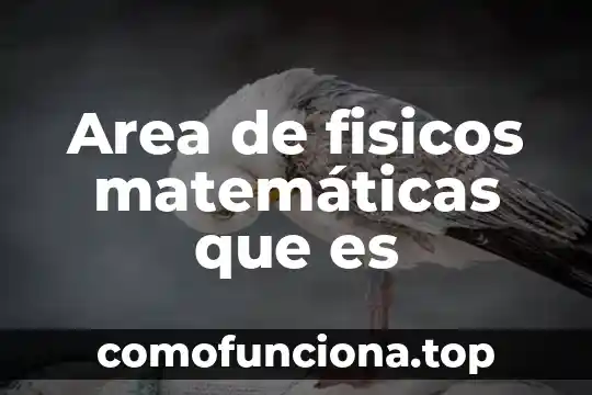 Que es clave de sol 4587m 8 Area de fisicos matemáticas que es