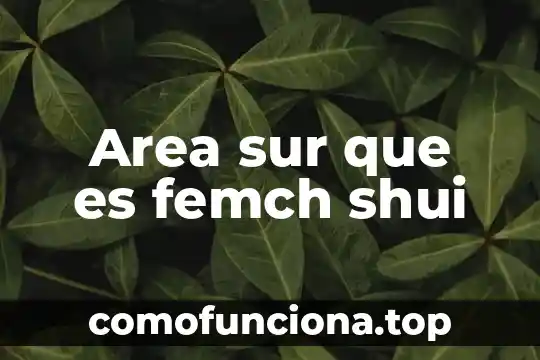 Que es el polo sur yahoo 5 Area sur que es femch shui