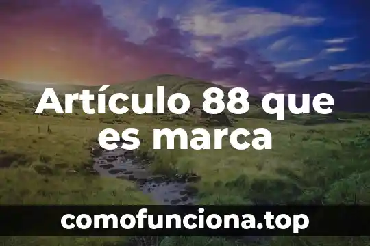Qué es un número decimal infinito puro 5 Artículo 88 que es marca