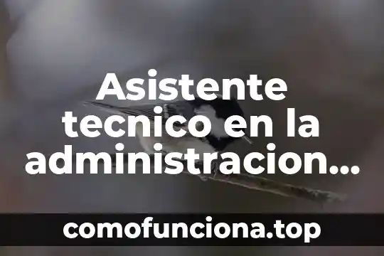 Que es la planta de conjunto en dibujo tecnico 6 Asistente tecnico en la administracion que es