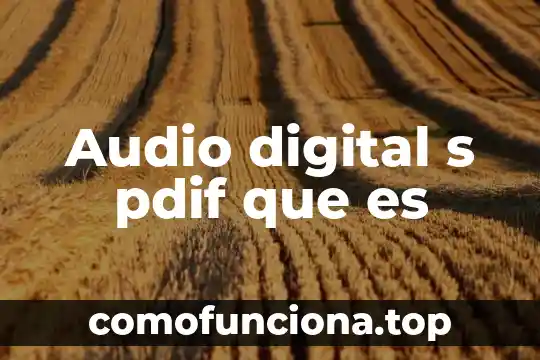 Que es ser trafficker digital sueldo 5 Audio digital s pdif que es