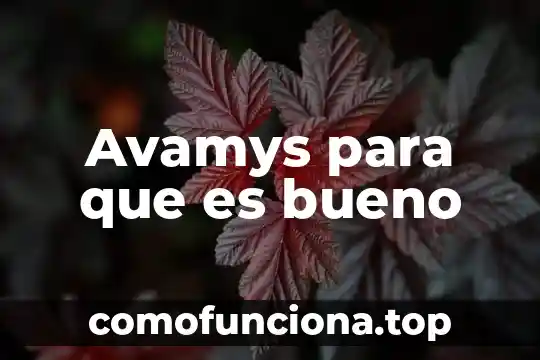 Por que es bueno hacer tesis 5 Avamys para que es bueno