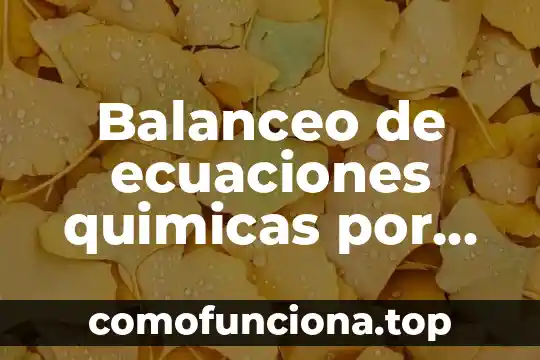 Que es capacidad de planta y balanceo de lineas 5 Balanceo de ecuaciones quimicas por tanteo que es