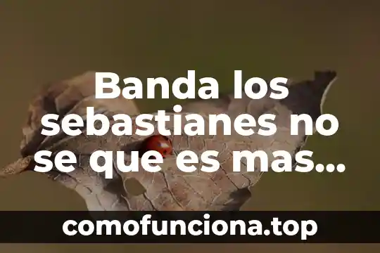 Qué es introducción explica más fácil 5 Banda los sebastianes no se que es mas facil letra