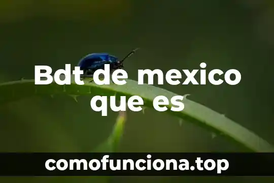 Que es sociedad annima en mexico 5 Bdt de mexico que es