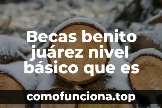 Que es alto nivel de grenetina 8 Becas benito juárez nivel básico que es