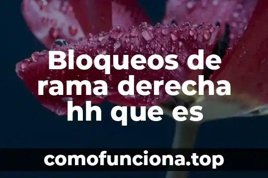 Que es el realismo como rama de conocimiento 5 Bloqueos de rama derecha hh que es