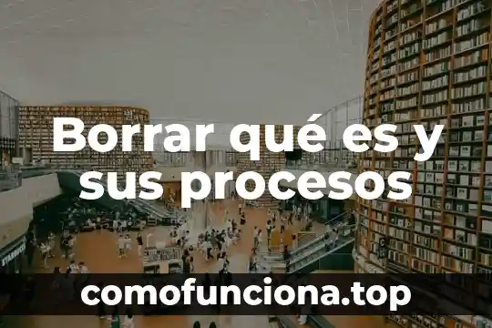 Que es los elentos de los procesos educativos 8 Borrar qué es y sus procesos