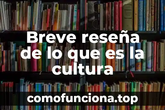 Que es la cultura olmeca cortas 6 Breve reseña de lo que es la cultura