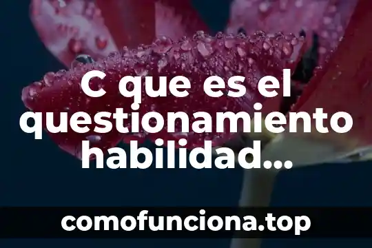 Que es la problematizacion de un problema social 6 C que es el questionamiento habilidad social