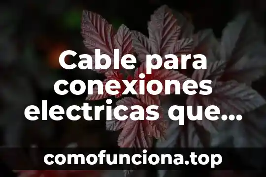 Qué es cable de red en una computadora 3 Cable para conexiones electricas que es